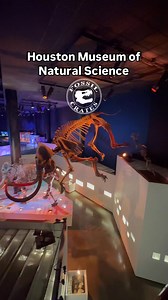 15K views · 709 reactions | From the Gallery The Houston Museum of...