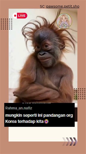 The Funniest Singing And Dancing Monkey Ever #funnyanimals #dancingmonkey #internetculture