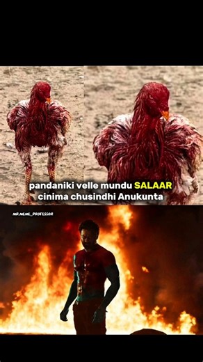 mr.professor 😎 on Instagram: "Kateramma kodi 🔥🔥🔥 . . Image credit: @_pgr_7 . Copyright Disclaimer: - Under section 107 of the copyright Act 1976, allowance is mad for FAIR USE for purpose such a as criticism, comment, news reporting, teaching, scholarship and research. Fair use is a use permitted by copyright statues that might otherwise be infringing. Non- Profit, educational or personal use tips the balance in favor of FAIR USE. . . . #memes #explorepage #viralreels #relatable #explore"