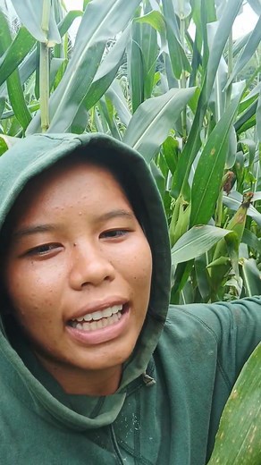 Oo babae rako pero Kaya nko tanan trabaho sa mga Lake, ayha ka mo bash nko make sure Kaya nmo akong ginabuhat sa bukid, Lake pa raba kayka tas kusog kayka mo bash nko. Wag AKO dong sanay natos hirap #kafarmers #buhayprobinsya #farmlife | Wendelyn Puyos Sinoy