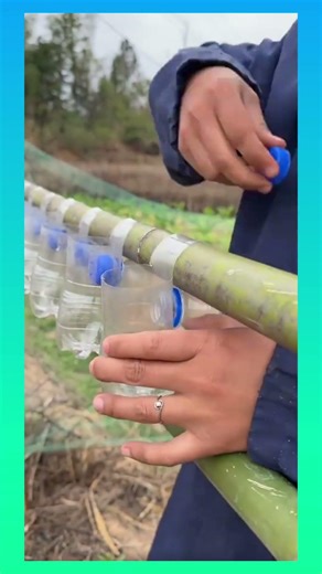 Hanging recycled plastic bottle planters on bamboo poles for simple vertical gardening #DIY