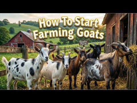 How To Start Farming Goats: The Complete Beginner’s Guide