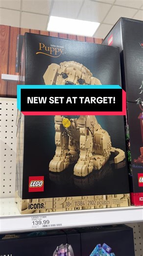 Unboxing the New Lego Golden Retriever Set