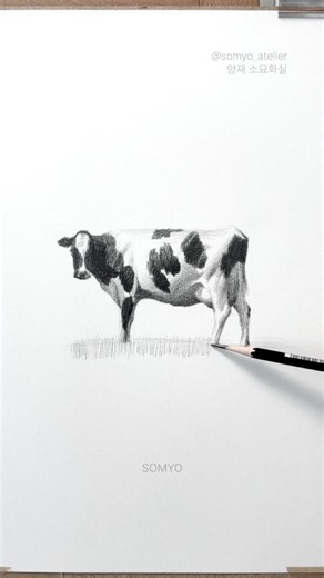 연필 드로잉 느낌있게 그리는 법 #drawing