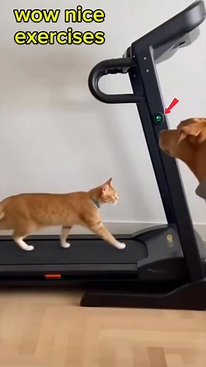 205K views · 5.5K reactions | Over speed SI mingming  #reelviral #funny | Lola’s Patama Corner | Facebook