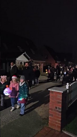 Laternenumzug in Germany #shorts #animals