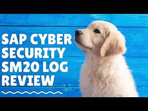 SAP Cyber Security SM20 LOG Review