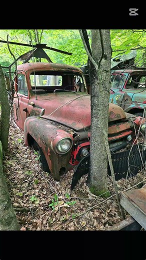 Exploring an Abandoned Scrap Yard | Forgotten Cars & Rusted Relics