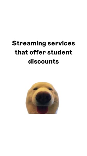 doggie explain streaming services that offer student discounts | doggie