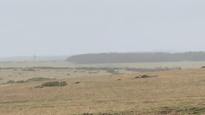 Dragoons from the The Light Dragoons firing the Javelin Anti-Tank weapon. To find out more about this historic regiment please visit: www.army.mod.uk/LD #armyjobs #lightcav #britisharmy #military #cavalry #fightingvehicle #recce #reconnaissance #racfirst #javelin | Royal Armoured Corps