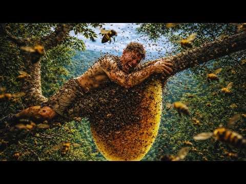 Using only their bare hands, they climbed trees to catch wild beehives dozens of meters high