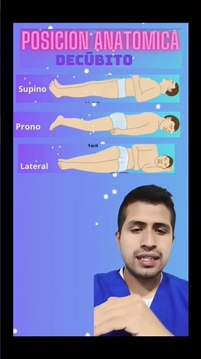 Anatomical positions