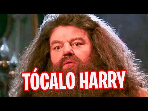 😆 DOBLAJES RANDOM #20 - Tócalo Harry