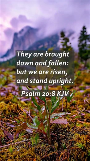 Where Do You Put Your Trust? 🛡️