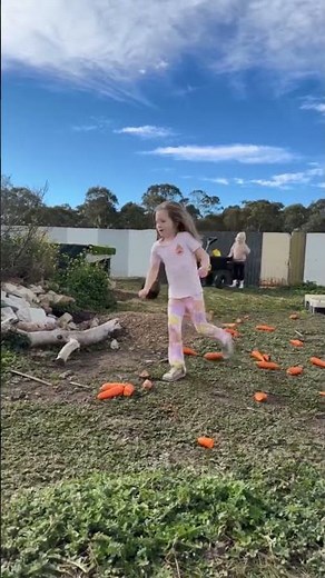 Wombat Races!! This little wombat runs so fast #running 👟