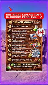 😳 DID YOU KNOW? Your poop is basically a mini health report 💩🧠 I made 7 weird-but-true poop facts that most people don’t know… Which one shocked you most—#2 or #6? 👇 ✅ SAVE this for later FOLLOW for more weird body science! #DidYouKnow #WeirdFacts #BodyFacts #CrazyScience #FunFacts #ScienceFacts #HealthFacts #PoopFacts #HumanBody #LearnOnReels #DailyFacts #MindBlown #SaveThis #ShareThis #FYP #ViralReels #ReelsTips #FacebookReels #ContentCreator #PinoyCreator #highlightseveryonefollowers #vir