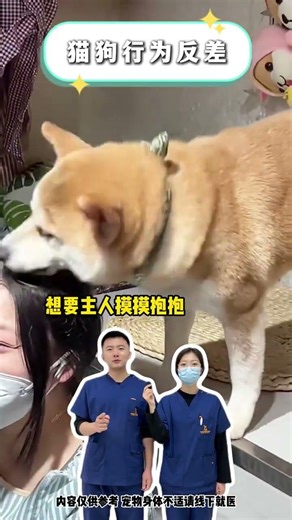 Uncover the Secret World of Feline Behavior: A Cat Owner's Guide