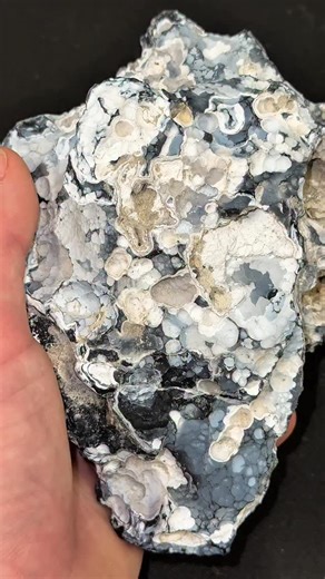 CoralGeodes on Instagram: "Ancient Crystal Coral Geode…what’s inside? 🪸✨ #crystals #geode #rocks #minerals #geology #coral #agate #fossils"