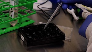 Simplified, High-throughput Analysis of Single-cell Contractility using Micropatterned Elastomers