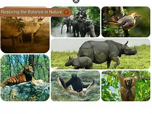 Balance in Nature - Science Class 5