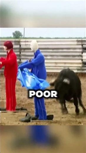 The Biggest Lie About Bulls 🚩