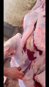 97K views · 748 reactions | Cutting mutton  Daily數 Videos #viralreelsシ #reelsvideoシ #reelsfbシ #reel #beef #video2024 #reelsfb #reelitfeelit #reelsvideo #knifeskills #KitchenHack #reelsviralシ #fypシ゚viralシ2023 #reelsfbviral #reelsforyou #reelsfbpage #reels2024 #reelsfyp #reelkarofeelkaro #reelsfacebook #reelschallenge #reels #cutting #meat | Fresh Meat Cutting | Facebook