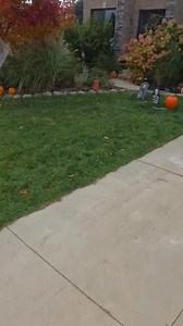 Part 1 Cub cadet tune up and oil plug replacement. 🚜 #smallenginerepair #smallenginemechanic #cubcadet #tuneup | Ben’s Engine Repair