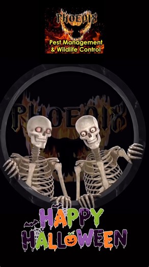 Have a safe and Happy Halloween! | Phoenix Pest Management & Wildlife Control | Facebook
