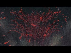 CROWNED AND SLAUGHTERED - LIGHTBEARER [OFFICIAL LYRIC VIDEO] (2026) SW EXCLUSIVE