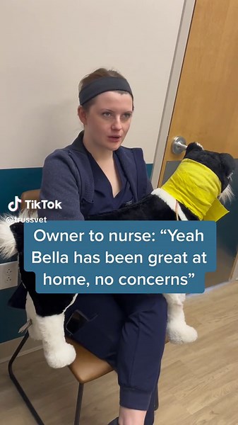 Funny Vet Medicine Moments | Hilarious Vet Office Conversations