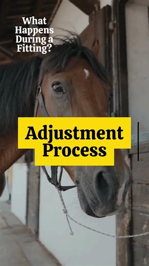 What Happens at a Bit Fitting?