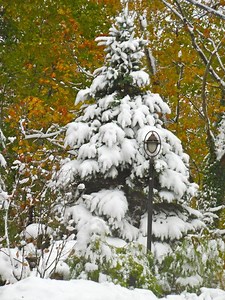 Safety Tips To Survive a Blizzard