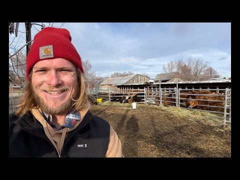 The Rotty Ranch is live!