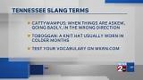 Cattywampus, fixin, goo goos: Ultimate guide to Tennessee slang
