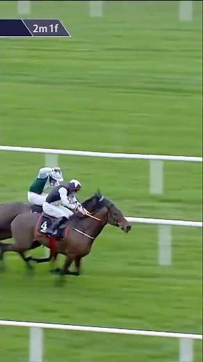 Romeo Coolio wins at Leopardstown 💪