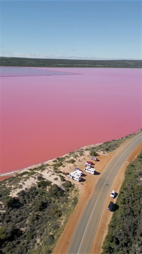 Why Is This Lake Bright Pink? 🤔 Pink Lake
