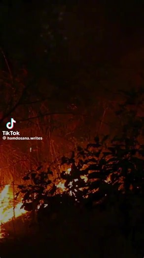 TikTok · Mussa Bhai