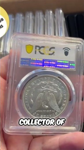 Coin Grading Predictions REVEALED: Did I Nail It? #shorts