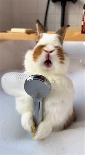 Rabbit Sings in the Shower — Cutest Concert Ever! 🛁🎤🐰