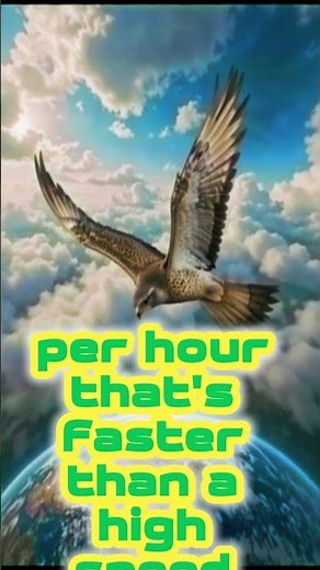 240 MPH! The Incredible Speed of the Peregrine Falcon.