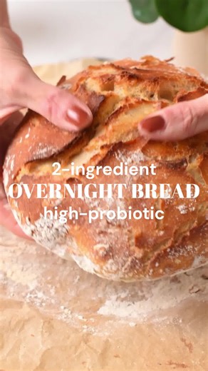 2-Ingredient Dutch Oven Bread (No-Knead, Artisan Style) RECIPE IN COMMENT | The Conscious Plant Kitchen