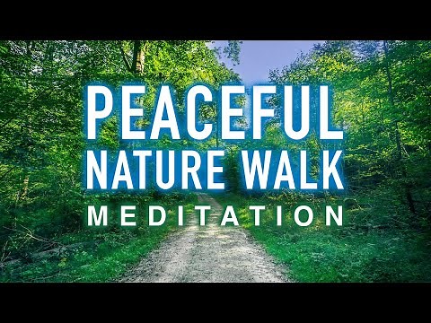 Guided Mindfulness Meditation - Peaceful Nature Walk (Nature Sounds and Voice Only)