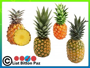 Find The Odd One Out Fruits