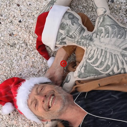 Bring home a bit of holiday magic with John Derian’s vintage-inspired decorative pillows ✨ Whimsical, cozy, and totally giftable 🎁 https://tgt.biz/74ea94 | Target