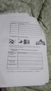 3.2 List five career fields and their opportunities.| Career ... | Filo