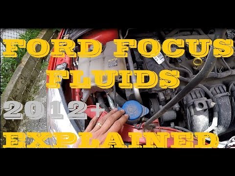 Ford Focus Fluid Maintenance 2012+