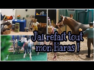 Visite de mon Haras: 3 semaines pour tout refaire ! 👩‍🔧👩‍🎨