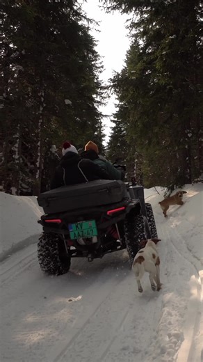 💪 Turn your ATV or UTV into a workhorse with Swisher accessories! 🇺🇸 #AmericanMade #ATV #UTV #OutdoorEquipment #WorkSmarter #MadeInUSA #SwisherStrong | Swisher Brand Products