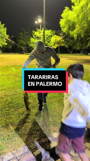 Pesca de Tarariras en Palermo: Tutorial para Principiantes