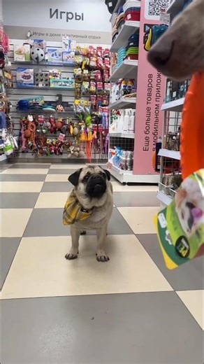 When Monu found a 100 rupee note on the road #youtubeshorts #viralshort